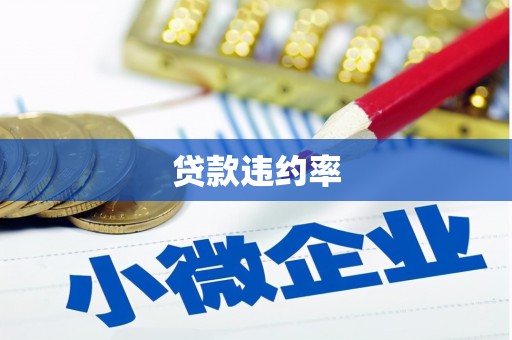 宁武贷款违约率