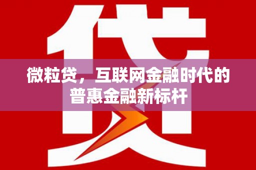 宁武微粒贷，互联网金融时代的普惠金融新标杆