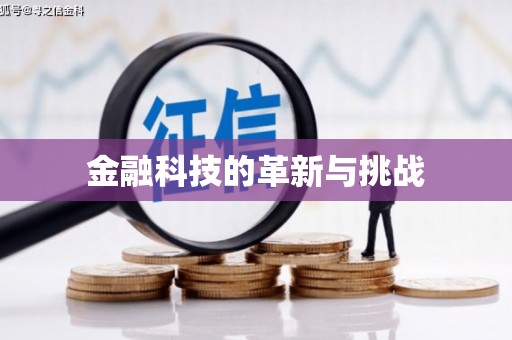 宁武金融科技的革新与挑战