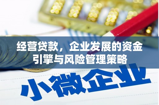 宁武经营贷款，企业发展的资金引擎与风险管理策略