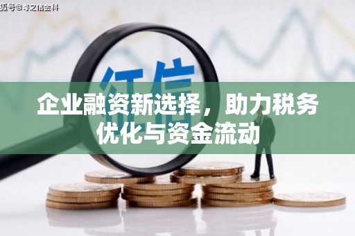 宁武企业融资新选择，助力税务优化与资金流动