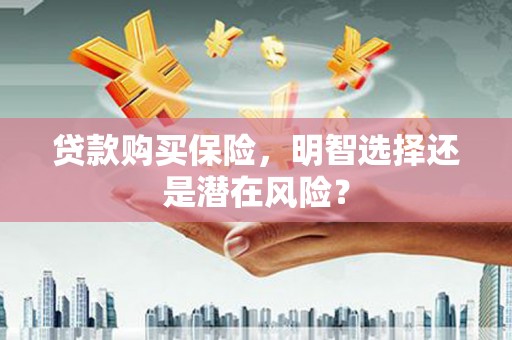宁武贷款购买保险，明智选择还是潜在风险？