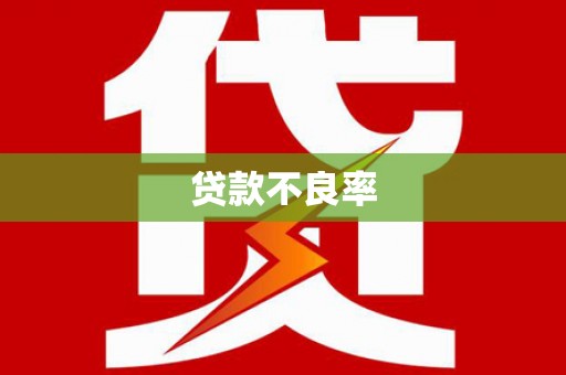 宁武贷款不良率