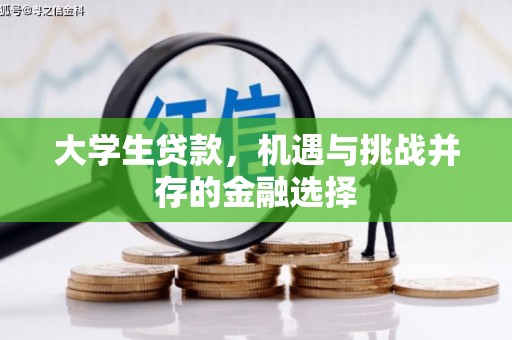 宁武大学生贷款，机遇与挑战并存的金融选择