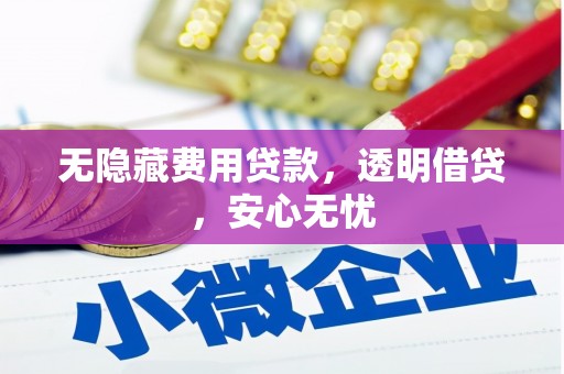 宁武无隐藏费用贷款，透明借贷，安心无忧