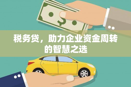 宁武税务贷，助力企业资金周转的智慧之选