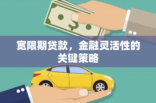 宁武宽限期贷款，金融灵活性的关键策略