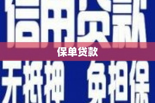 宁武保单贷款