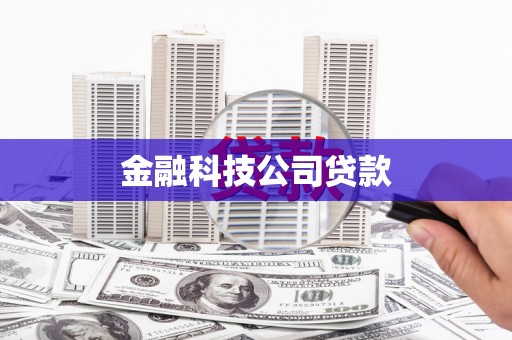 宁武金融科技公司贷款