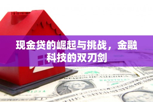 宁武现金贷的崛起与挑战，金融科技的双刃剑