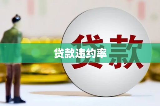 宁武贷款违约率