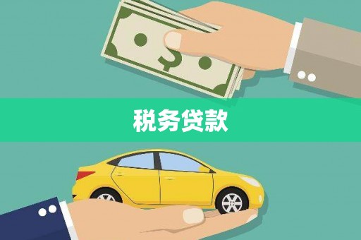 宁武税务贷款