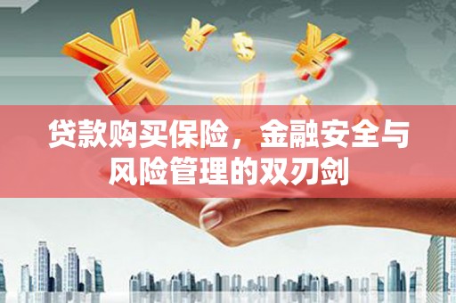 宁武贷款购买保险，金融安全与风险管理的双刃剑