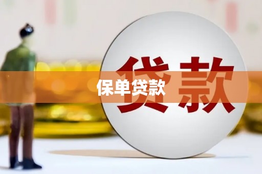 宁武保单贷款