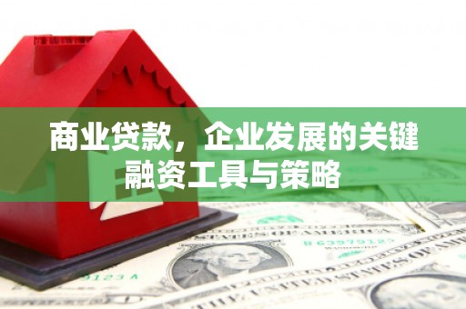 宁武商业贷款，企业发展的关键融资工具与策略
