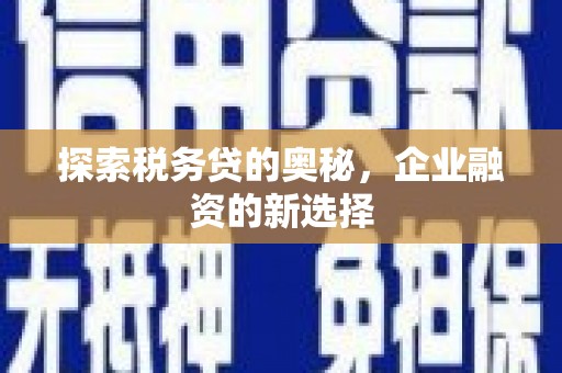 宁武探索税务贷的奥秘，企业融资的新选择