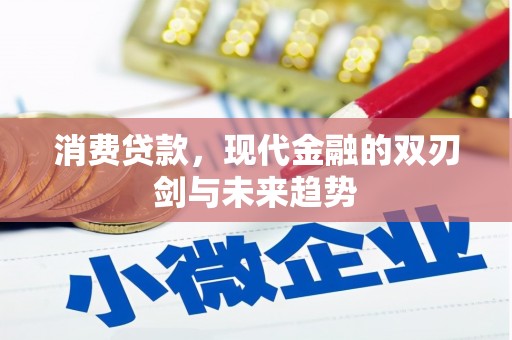 宁武消费贷款，现代金融的双刃剑与未来趋势