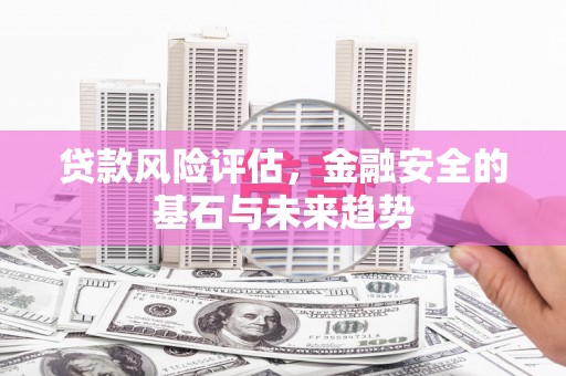 宁武贷款风险评估，金融安全的基石与未来趋势
