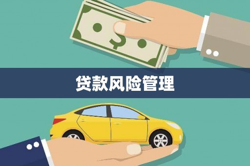宁武贷款风险管理