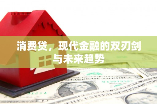 宁武消费贷，现代金融的双刃剑与未来趋势