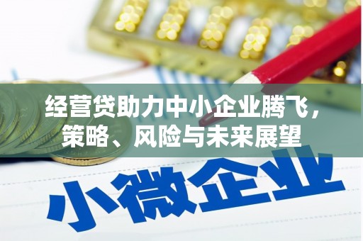 宁武经营贷助力中小企业腾飞，策略、风险与未来展望
