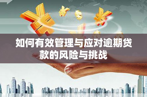 宁武如何有效管理与应对逾期贷款的风险与挑战