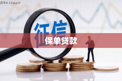 宁武保单贷款