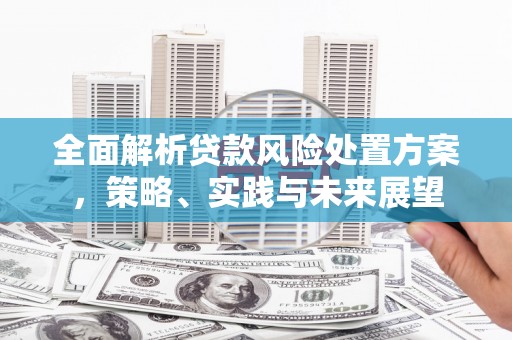 宁武全面解析贷款风险处置方案，策略、实践与未来展望