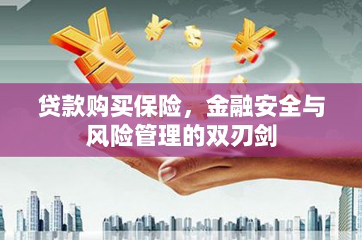 宁武贷款购买保险，金融安全与风险管理的双刃剑