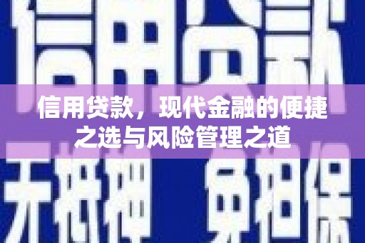 宁武信用贷款，现代金融的便捷之选与风险管理之道
