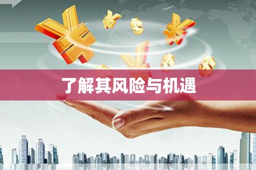 宁武了解其风险与机遇