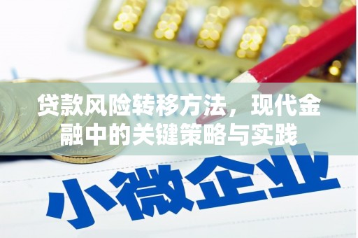 宁武贷款风险转移方法，现代金融中的关键策略与实践