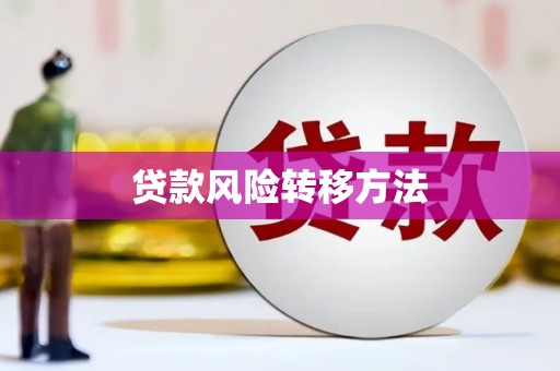 宁武贷款风险转移方法