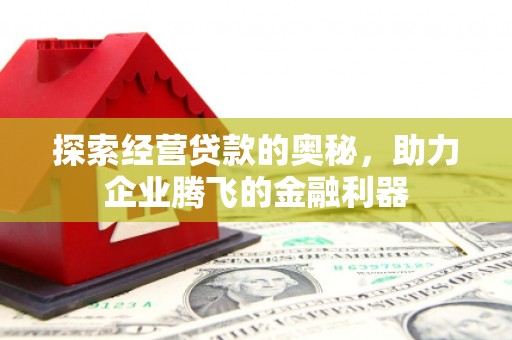 宁武探索经营贷款的奥秘，助力企业腾飞的金融利器