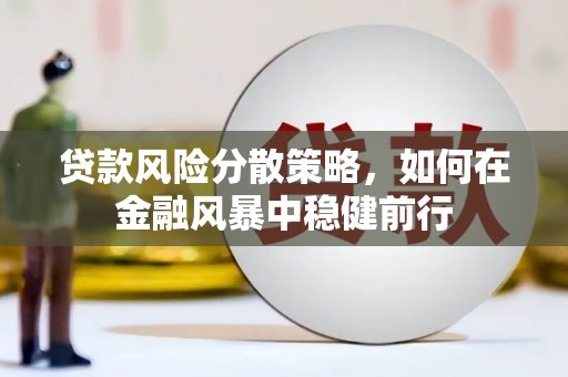 宁武贷款风险分散策略，如何在金融风暴中稳健前行
