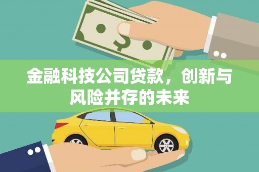 宁武金融科技公司贷款，创新与风险并存的未来