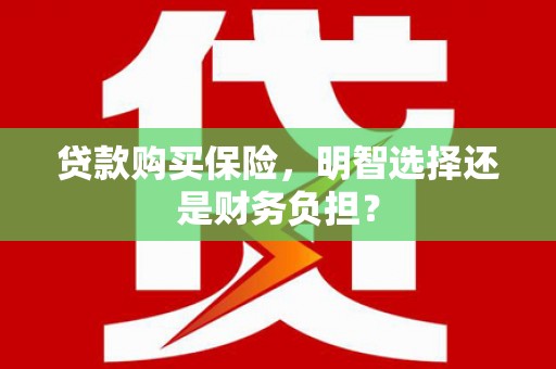 宁武贷款购买保险，明智选择还是财务负担？