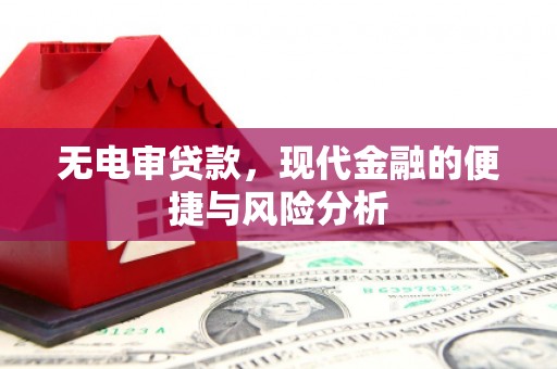 宁武无电审贷款，现代金融的便捷与风险分析