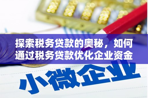 宁武探索税务贷款的奥秘，如何通过税务贷款优化企业资金流