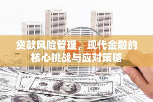 宁武贷款风险管理，现代金融的核心挑战与应对策略