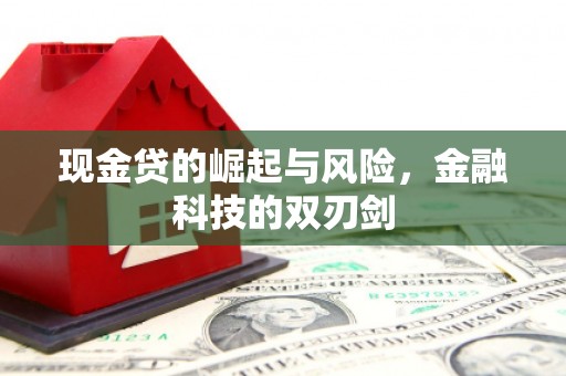 宁武现金贷的崛起与风险，金融科技的双刃剑