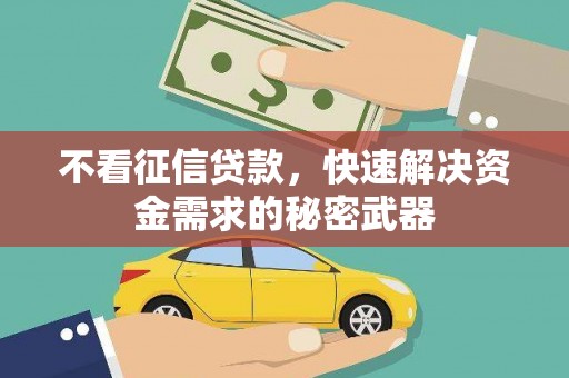 宁武不看征信贷款，快速解决资金需求的秘密武器