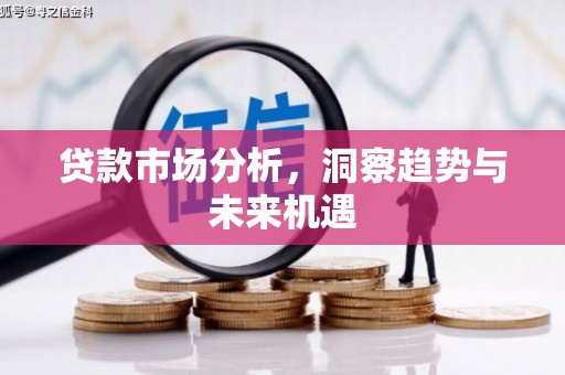 宁武贷款市场分析，洞察趋势与未来机遇