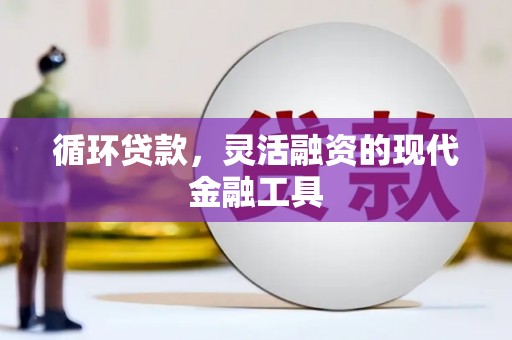 宁武循环贷款，灵活融资的现代金融工具