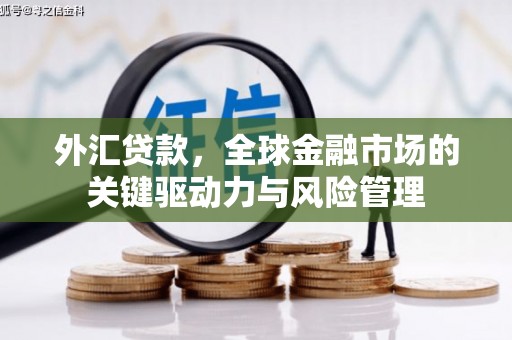 宁武外汇贷款，全球金融市场的关键驱动力与风险管理