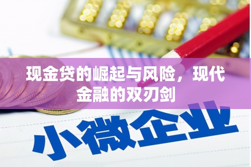 宁武现金贷的崛起与风险，现代金融的双刃剑
