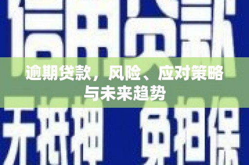 宁武逾期贷款，风险、应对策略与未来趋势