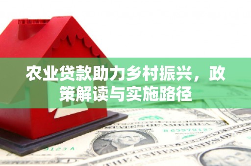 宁武农业贷款助力乡村振兴，政策解读与实施路径