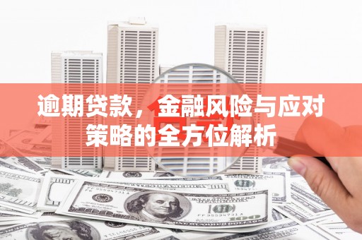 宁武逾期贷款，金融风险与应对策略的全方位解析