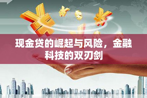 宁武现金贷的崛起与风险，金融科技的双刃剑